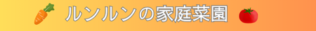 ルンルンの家庭菜園
